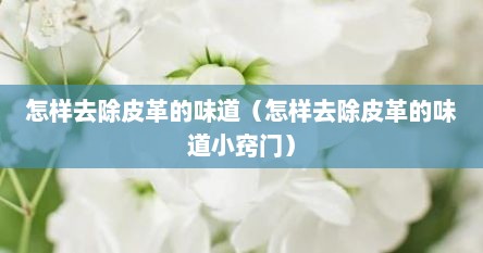 怎样去除皮革的味道（怎样去除皮革的味道小窍门）