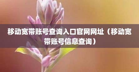 移动宽带账号查询入口官网网址（移动宽带账号信息查询）