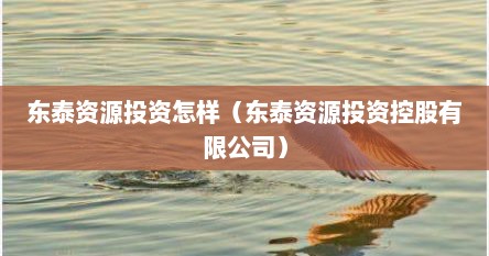 东泰资源投资怎样（东泰资源投资控股有限公司）