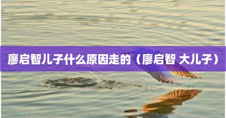 廖启智儿子什么原因走的（廖启智 大儿子）