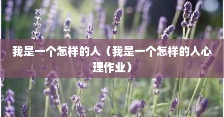 我是一个怎样的人（我是一个怎样的人心理作业）