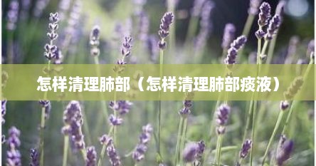 怎样清理肺部（怎样清理肺部痰液）
