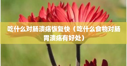 肠溃疡吃什么食物好养胃（吃什么对肠道溃疡好）