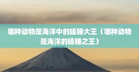 哪种动物是海洋中的瞌睡大王（哪种动物是海洋的瞌睡之王）