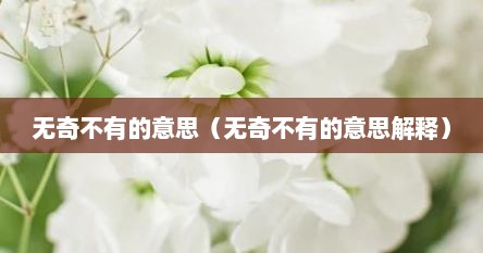 无奇不有的意思（无奇不有的意思解释）