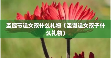 圣诞节送女孩什么礼物（圣诞送女孩子什么礼物）