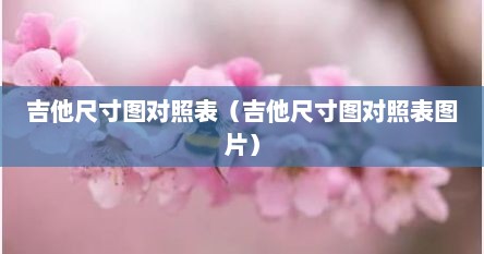 吉他尺寸图对照表（吉他尺寸图对照表图片）