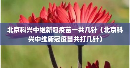 北京科兴中维新冠疫苗一共几针（北京科兴中维新冠疫苗共打几针）