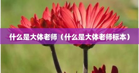 什么是大体老师（什么是大体老师标本）