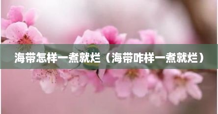 海带怎样一煮就烂（海带咋样一煮就烂）