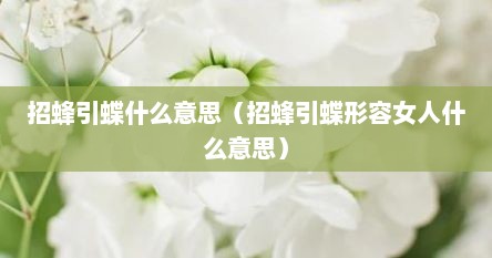 招蜂引蝶什么意思（招蜂引蝶形容女人什么意思）