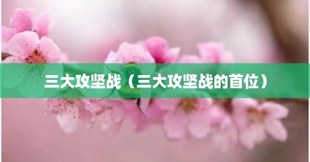 三大攻坚战（三大攻坚战的首位）