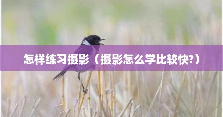 怎样练习摄影（摄影怎么学比较快?）
