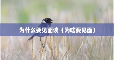 为什么要见面才能确定关系（为什么要见面呀怎么回复）