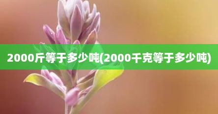 2000斤等于多少吨(2000千克等于多少吨)