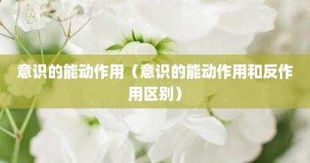 意识的能动作用（意识的能动作用和反作用区别）