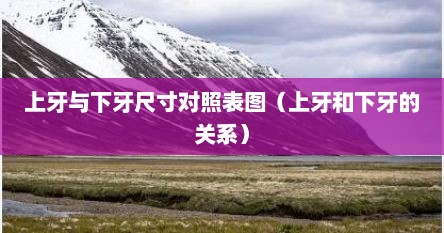 上牙与下牙尺寸对照表图（上牙和下牙的关系）