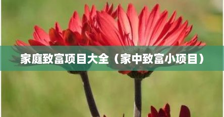 家庭致富项目大全（家中致富小项目）