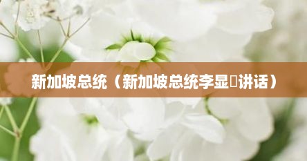 新加坡总统（新加坡总统李显㔫说话）