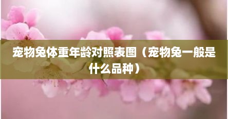 宠物兔体重年龄对照表图（宠物兔一般是什么品种）