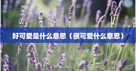 好可爱是什么意思（很可爱什么意思）
