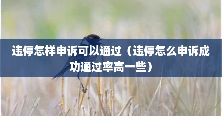 违停怎样申诉可以通过（违停怎么申诉成功通过率高一些）