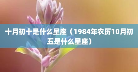 十月初十是什么星座（1984年农历10月初五是什么星座）