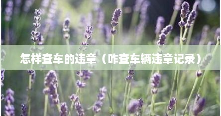 怎样查车的违章（咋查车辆违章记录）