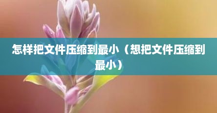怎样把文件压缩到最小（想把文件压缩到最小）