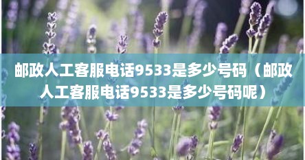 邮政人工客服电话9533是多少号码（邮政人工客服电话9533是多少号码呢）