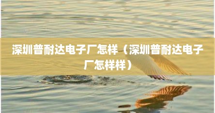 深圳普耐达电子厂怎样（深圳普耐达电子厂怎样样）