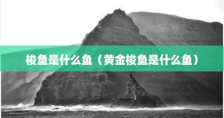 梭鱼是什么鱼（黄金梭鱼是什么鱼）