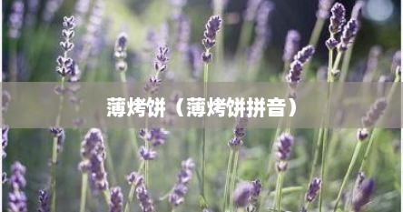 薄烤饼（薄烤饼拼音）