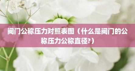 阀门公称压力对照表图（什么是阀门的公称压力公称直径?）