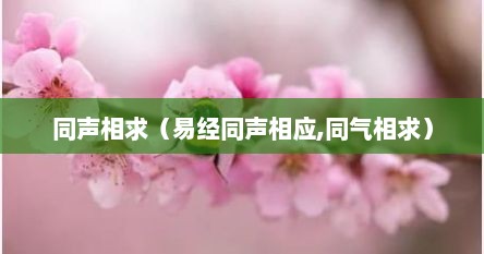 同声相求（易经同声相应,同气相求）