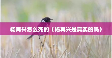 杨再兴怎么死的（杨再兴是真实的吗）