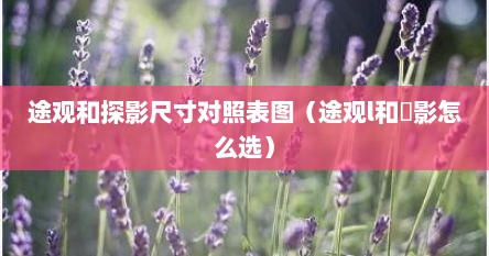 途观和探影尺寸对照表图（途观l和晧影怎么选）