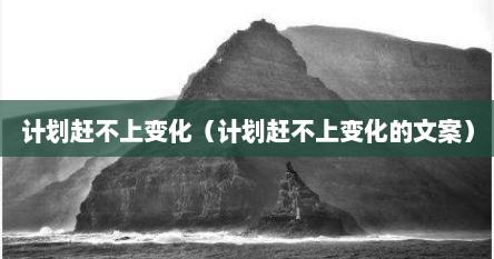 计划赶不上变化（计划赶不上变化的文案）
