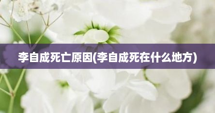 李自成死亡原因(李自成死在什么地方)