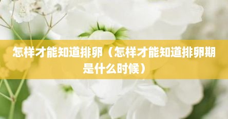 怎样才能知道排卵（怎样才能知道排卵期是什么时候）