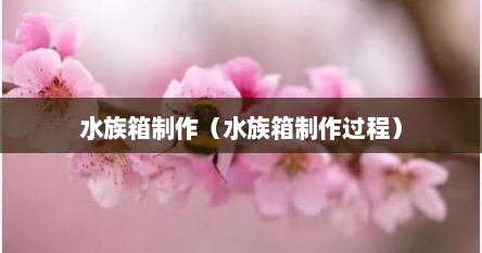 水族箱制作（水族箱制作过程）