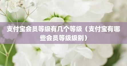 支付宝会员等级有几个等级（支付宝有哪些会员等级级别）