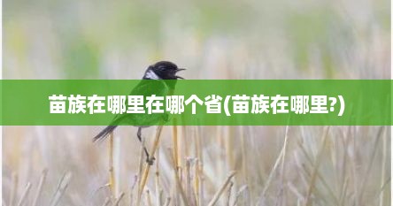 苗族在哪里在哪个省(苗族在哪里?)