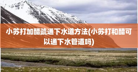 小苏打加醋疏通下水道方法(小苏打和醋可以通下水管道吗)