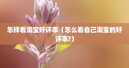 怎样看淘宝好评率（怎么看自己淘宝的好评率?）
