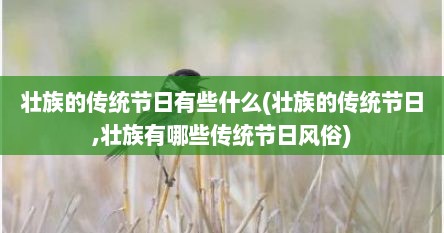 壮族的传统节日有些什么(壮族的传统节日,壮族有哪些传统节日风俗)