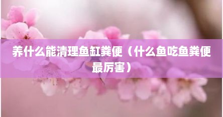 养什么能清理鱼缸粪便（什么鱼吃鱼粪便最厉害）