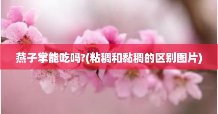 燕子掌能吃吗?(粘稠和黏稠的区别图片)