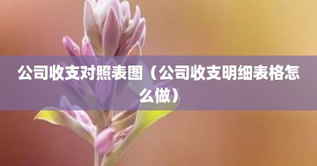 公司收支对照表图（公司收支明细表格怎么做）