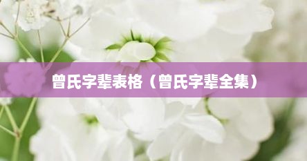 曾氏字辈表格（曾氏字辈全集）